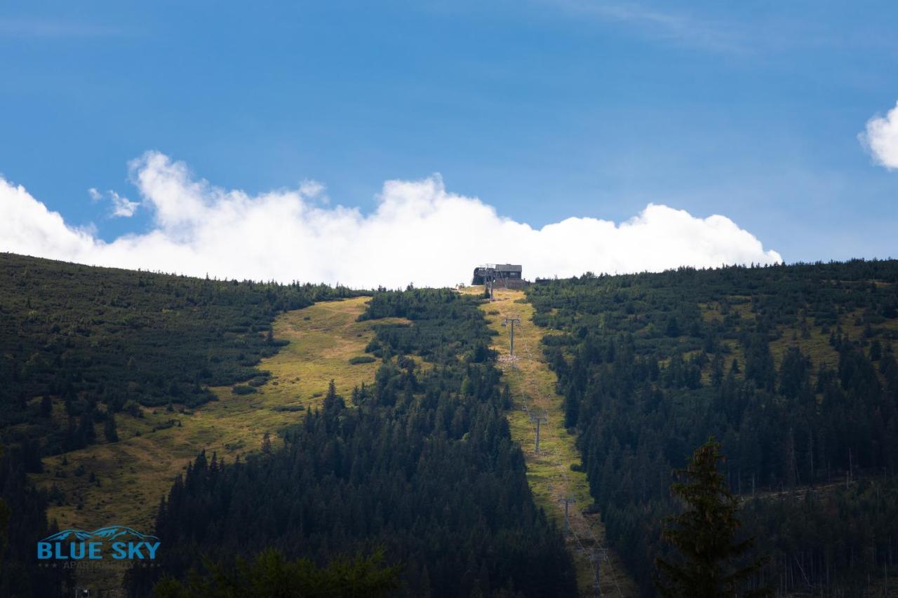 Apartamenty Bluesky - Karkonoska 13, Z Widokiem Na Gory, Blisko Szlakow I Wyciagow, W Zielonej Okolicy Karpacz Buitenkant foto
