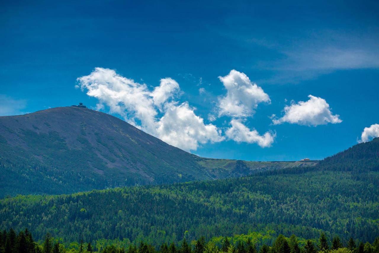 Apartamenty Bluesky - Karkonoska 13, Z Widokiem Na Gory, Blisko Szlakow I Wyciagow, W Zielonej Okolicy Karpacz Buitenkant foto